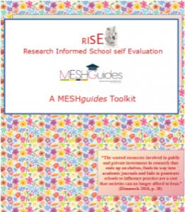 MeshGuides Rise Manual Front Cover